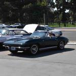 DSC_0219_01 (October 03, 2020)